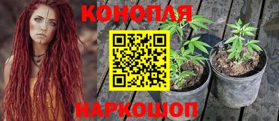 герыч Пугачёв