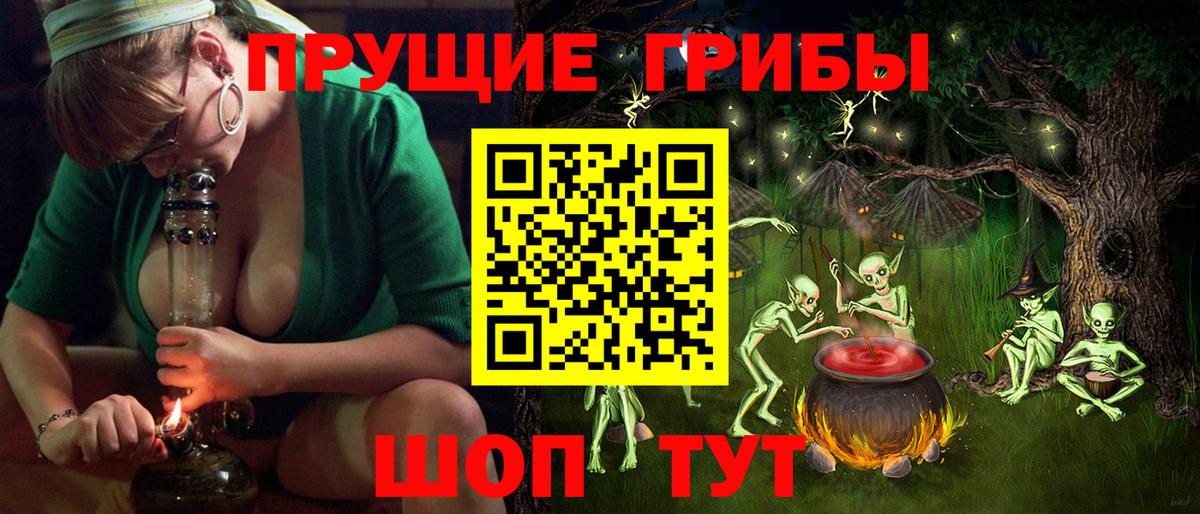 Новошахтинск  Псилоцибиновые грибы Cubensis  Вход с VPN 
